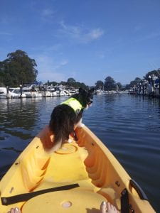 Kelsey and Indy kayaking in the Santa Cruz Harbor